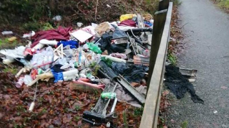 Calls for more fines to tackle illegal dumping in Cork