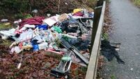 Calls for more fines to tackle illegal dumping in Cork