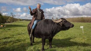 <p>Johnny Lynch of Macroom Buffalo Mozzarella.</p>