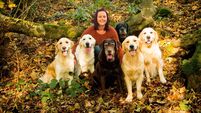 How a dog can carve out the most special place in your heart