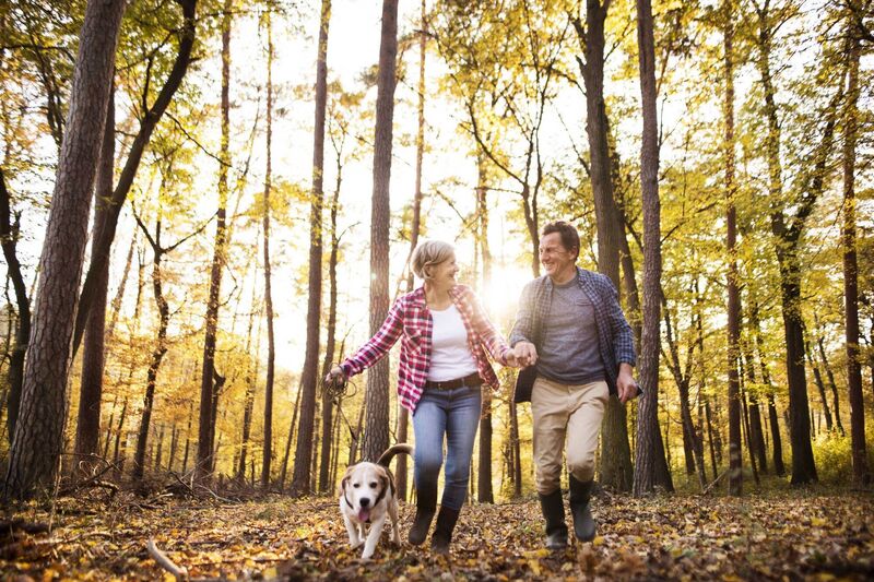 Turn off the TV and just spend some quality time together. Picture: Stock Turn off the TV and just spend some quality time together. Picture: Stock