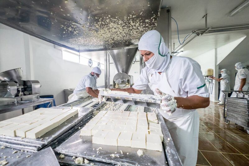 Workers at a dairy factory making cheese. Picture: Stock