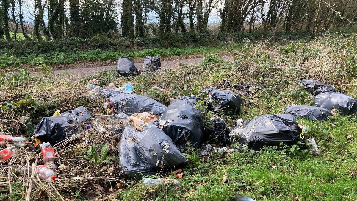 'Mammoth waste problem' as recurring Cork dumping ground discovered