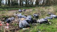'Mammoth waste problem' as recurring Cork dumping ground discovered