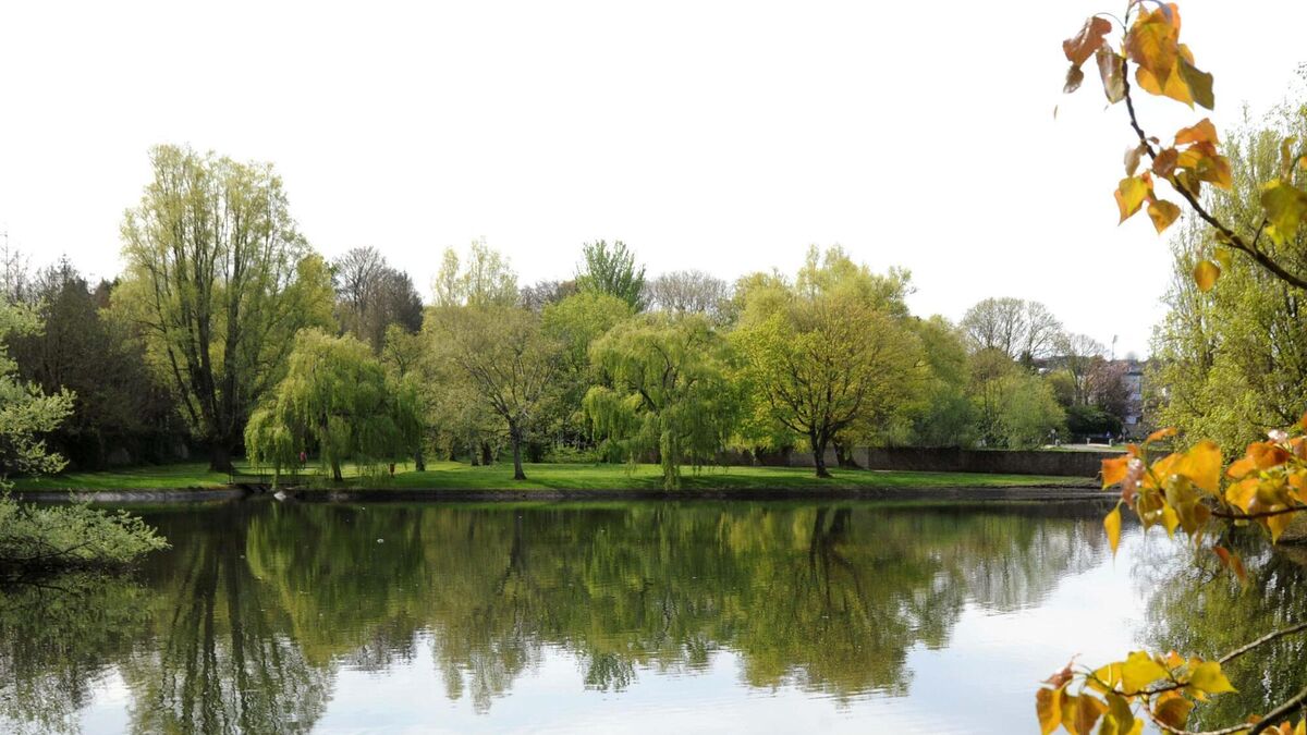 Cork weather: 'First real taste of spring' is likely on the way next ...