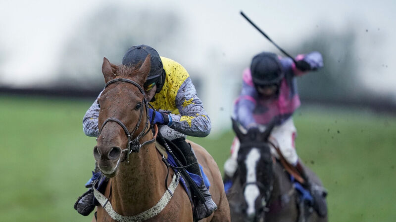 Dunmanway Jockey Gavin Sheehan reflects on the milestone of 500 career winners Dunmanway Jockey Gavin Sheehan reflects on the milestone of 500 career winners