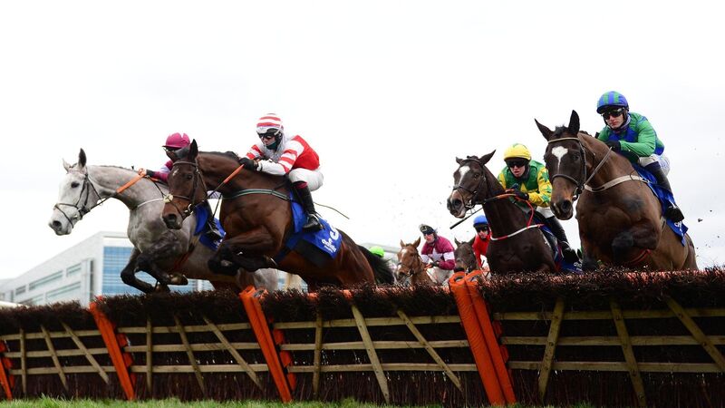 Racing fans Appreciate It when Cork heroes like Paul Townend deliver at Cheltenham Racing fans Appreciate It when Cork heroes like Paul Townend deliver at Cheltenham
