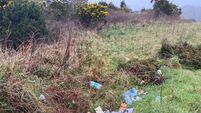 'A kick in the teeth for everyone': Mayfield United AFC furious with illegal dumping 