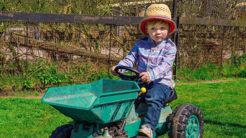 Can home schooling reconnect Ireland with its agricultural heritage?