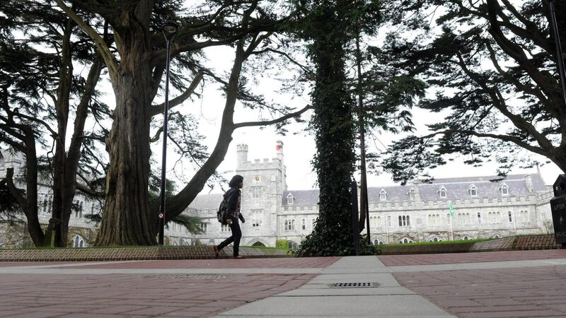 UCC develops Covid tracker app to protect students and staff