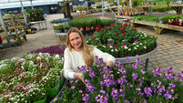 Living Leeside: Planting roots in the Rebel county