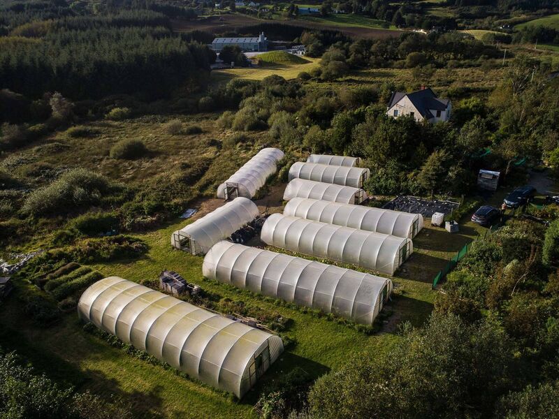 The flower farm in Drimoleague. The flower farm in Drimoleague.