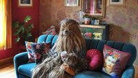 Former Cork Debenhams worker gives a quirky revamp to her home during lockdown