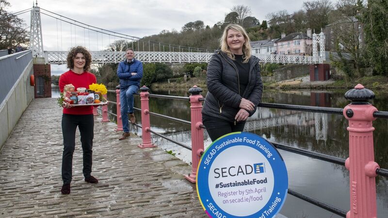 Free Sustainability Training Programme to run for six months in South and West Cork