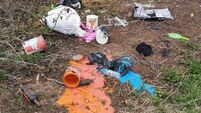 Councillor voices frustration over littering at Cork park