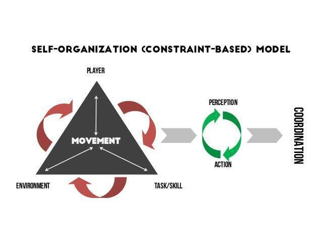 Self-organization model. Self-organization model.