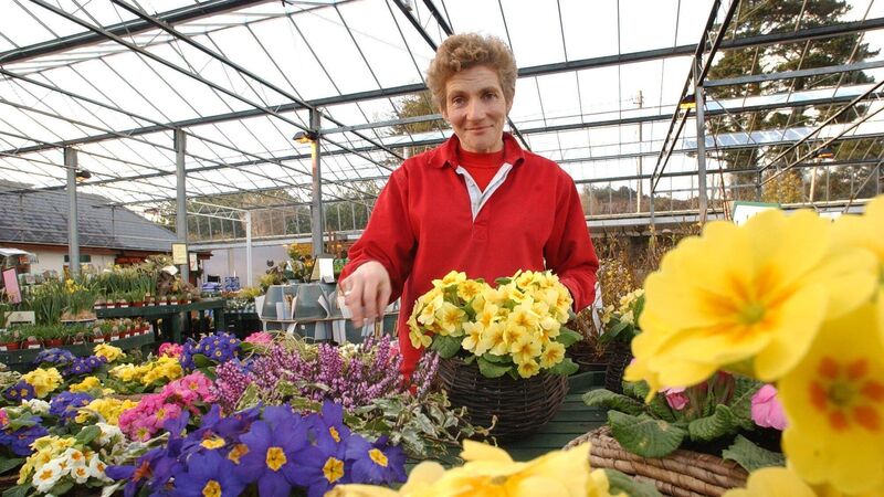 'Family had to be a priority': Owner of well-known Cork garden centre reveals heartbreaking reason for stepping back 'Family had to be a priority': Owner of well-known Cork garden centre reveals heartbreaking reason for stepping back