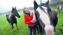 'The animals do not have a voice' I take pride in being their voice': Kelly devoted to horses in need with charity ‘My Lovely Horse Rescue’