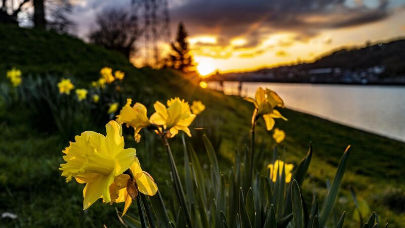 Cork weather: 'Best of the sunshine in the south' this Easter weekend