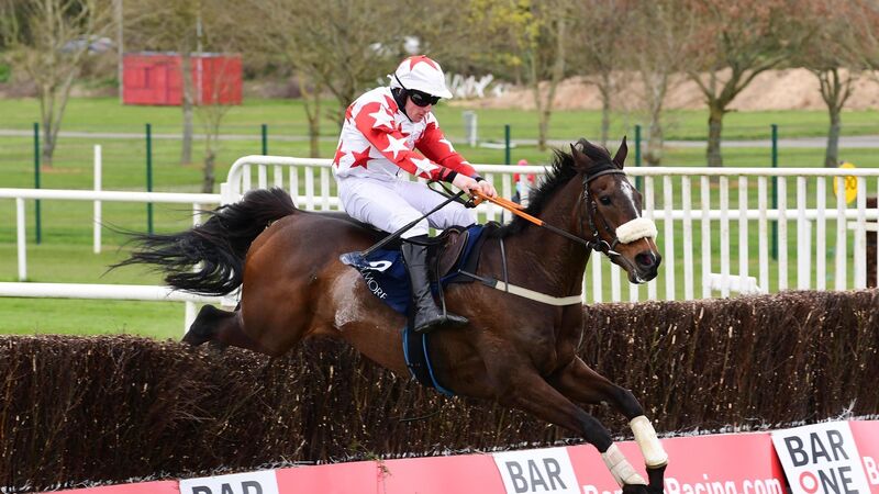 Goulane Chosen delivers again for Seamus Spillane at Cork Racecourse