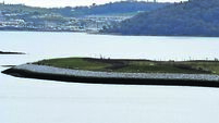 Department of Defence assigned responsibility for further remediation works at Haulbowline