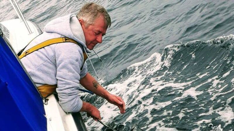 Let us catch bluefin tuna in Cork waters