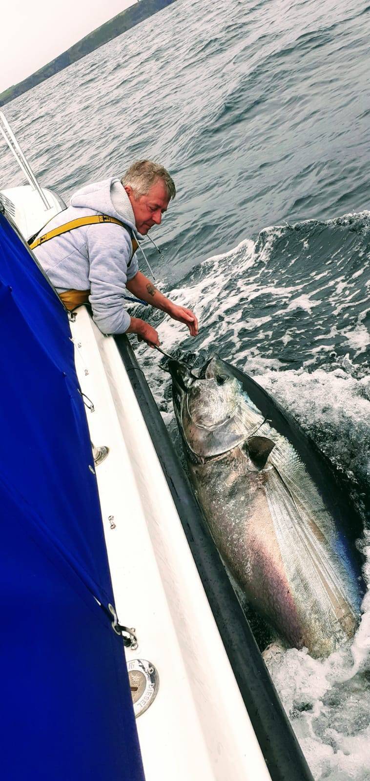 Let us catch bluefin tuna in Cork waters