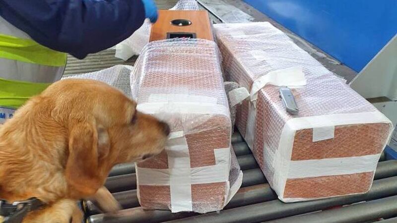 Cannabis herb worth over €20k seized in Cork 