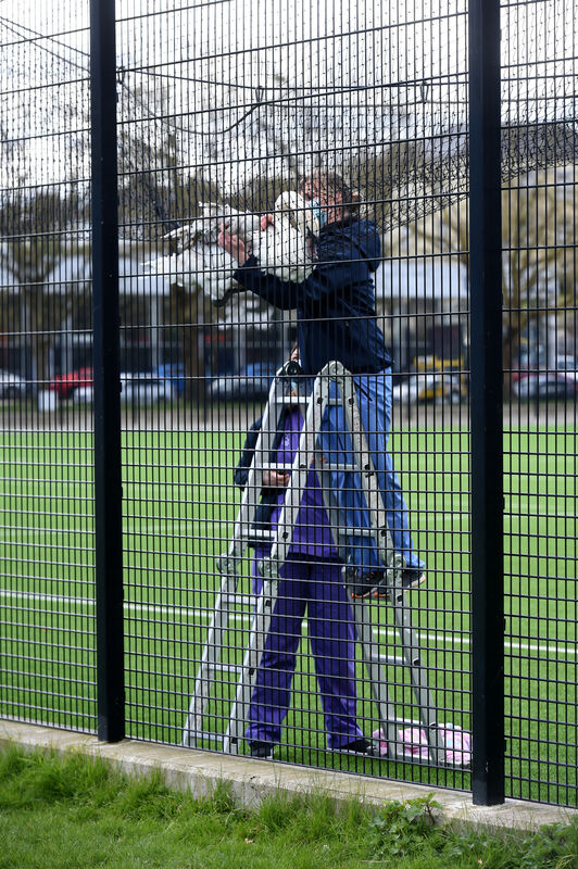  Gilabbey Veterinary Hospital staff work to free the trapped mute swan from the end of pitch netting on the 4G Astro Pitch at Pairc Ui Chaoimh on Sunday morning. Pic/Video; Larry Cummins