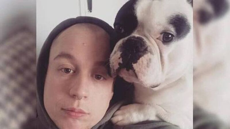 Dog returned after being stolen in hammer incident in broad daylight in Cork city Dog returned after being stolen in hammer incident in broad daylight in Cork city
