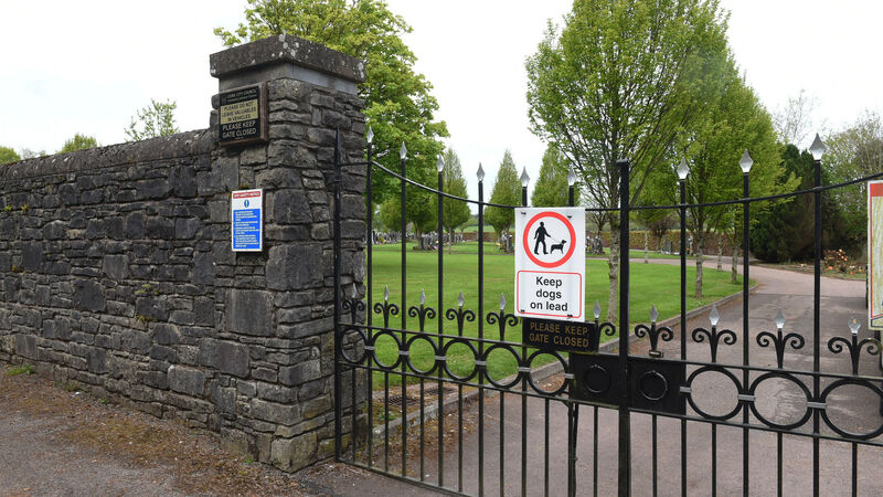 Council planning to expand Cork graveyard to create more plots in city 