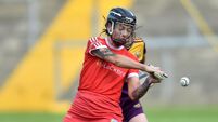 Your guide to Cork in the hurling, football, camogie and ladies football leagues