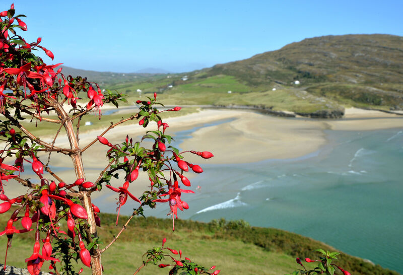 MAJESTIC: Barleycove beach in West Cork. Picture Denis Minihane. MAJESTIC: Barleycove beach in West Cork. Picture Denis Minihane.