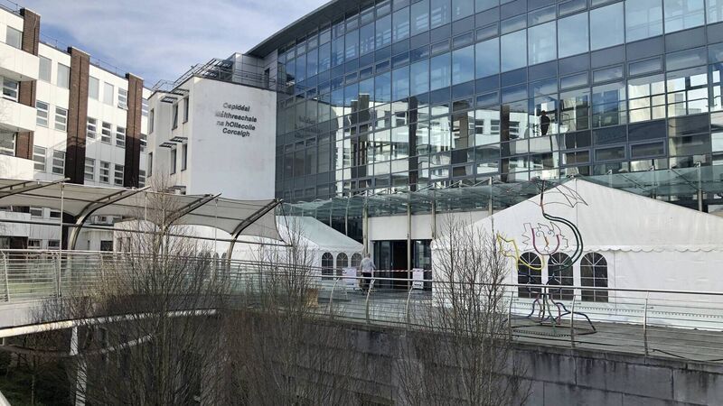 Launch of new app sees return of some visiting at Cork maternity hospital Launch of new app sees return of some visiting at Cork maternity hospital