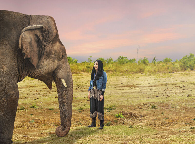 Cher with Kaavan, who has been given a home in a wildlife sanctuary in Cambodia. Cher with Kaavan, who has been given a home in a wildlife sanctuary in Cambodia.