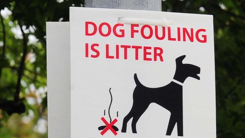 Cork County Council to launch campaign to combat dog fouling