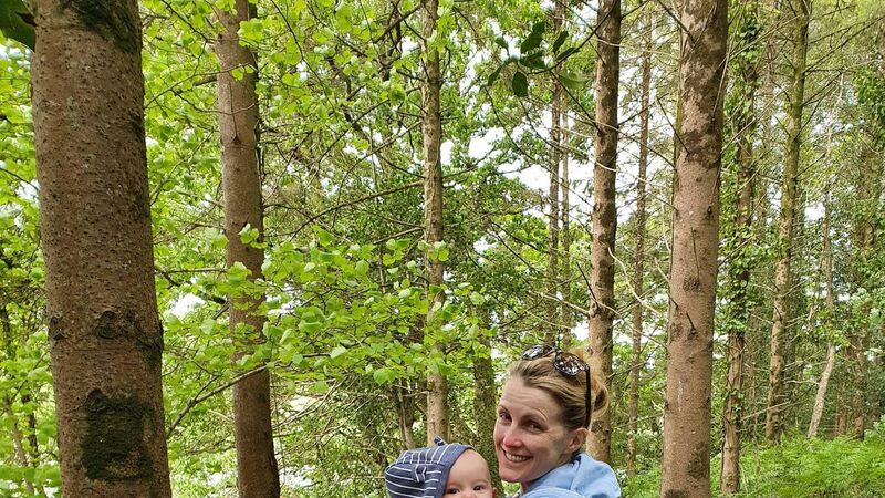 Cork woman launches App - it’s Bosco’s Magic Door for a 21st Century child Cork woman launches App - it’s Bosco’s Magic Door for a 21st Century child