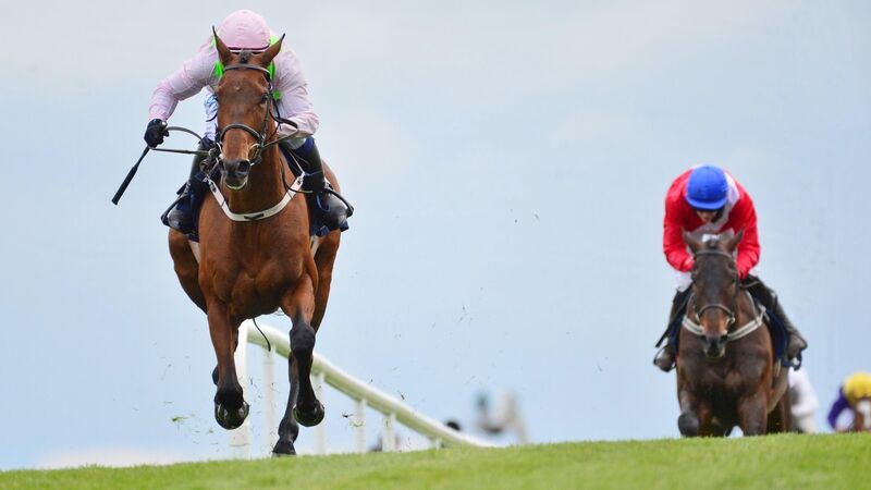 Paul Townend returns from injury to extend lead over Rachael Blackmore Paul Townend returns from injury to extend lead over Rachael Blackmore