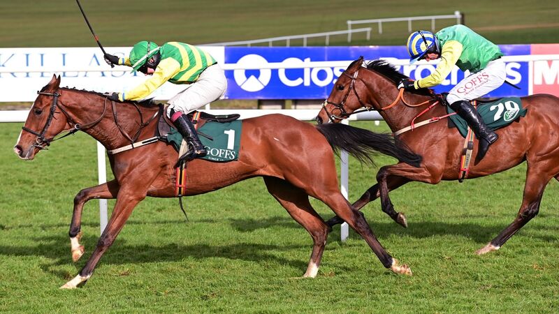 Joy for Cork jockey Jody Townend at Punchestown Festival