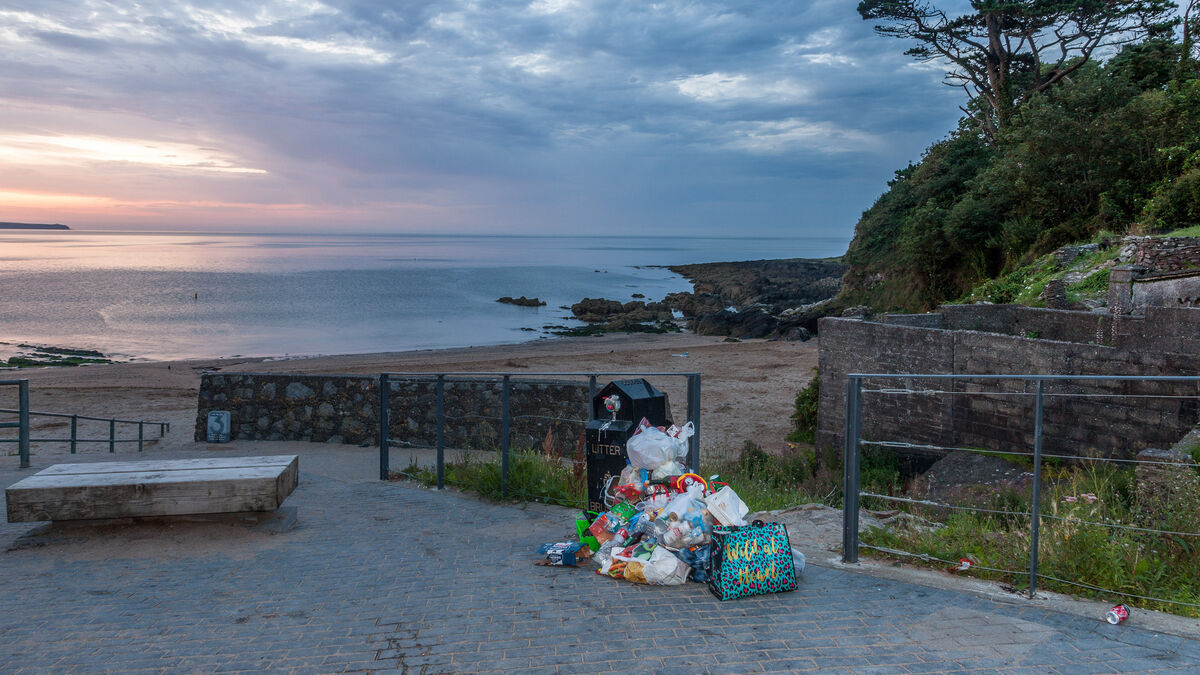 We want litter and dog dirt issues sorted — not more ‘awareness campaigns’