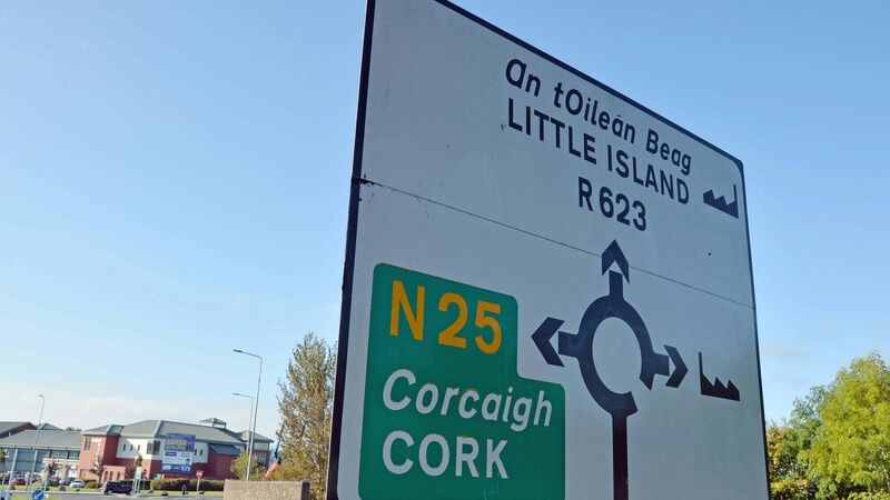 An Bord Pleanála overturn planning permission for a recycling facility in Cork village 