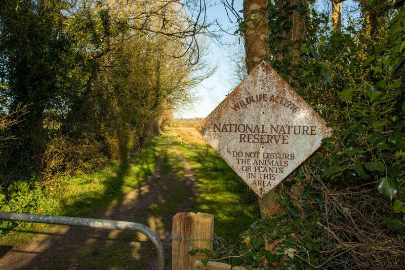 The Nature Reserve sign post at The Gearagh. Pictures: Richard Gordon 
