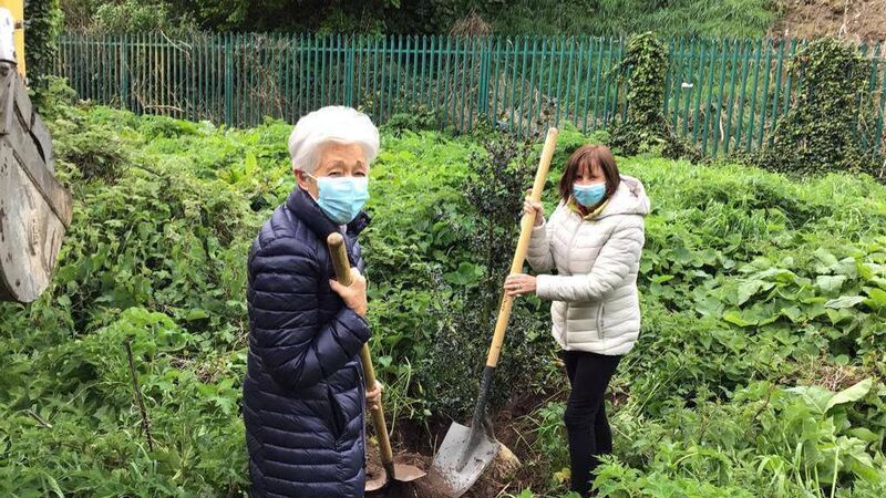City residents association plants trees in memory of those who passed away during Covid