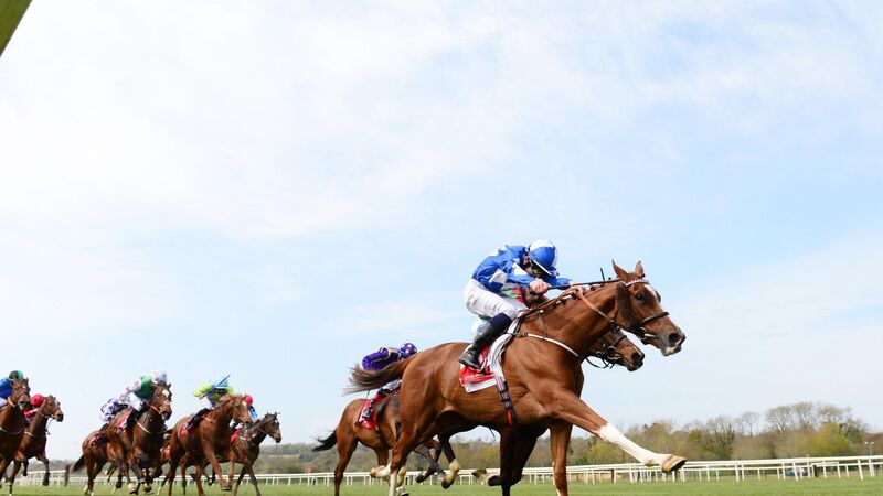 Cork racing preview: Light will have the Measure of his rivals