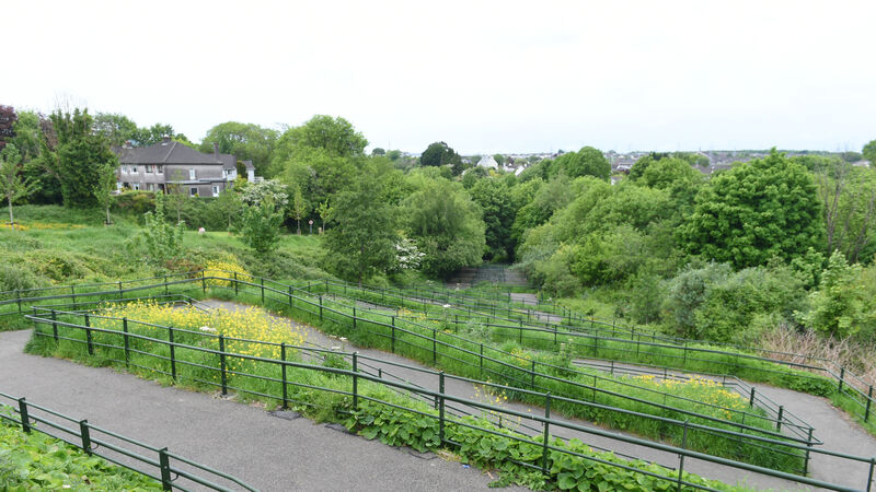 Concerns over Glen River Park cultural space proposal; city councillor says plan could 'destroy ecological gem'