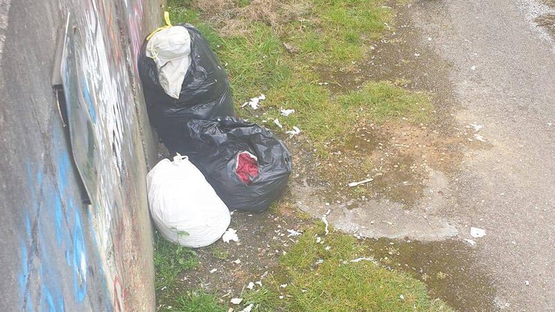 Cork County Councillor confronts illegal dumper on doorstep Cork County Councillor confronts illegal dumper on doorstep