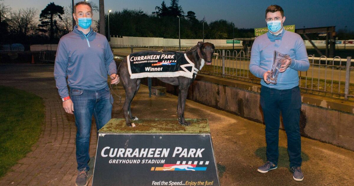 Top drawer performance by Skywalker Barry at Curraheen Park