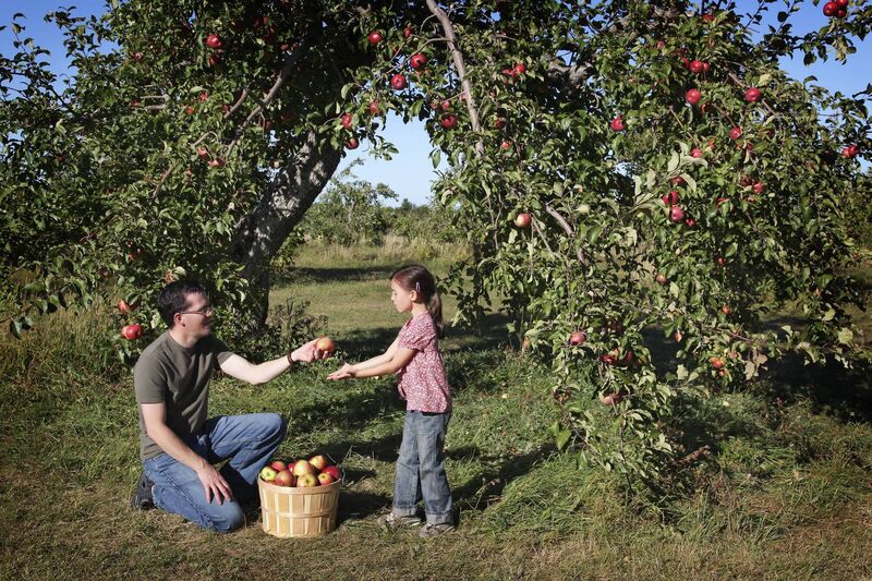 Lockdown forced us to get back in touch with nature. Picture: Stock