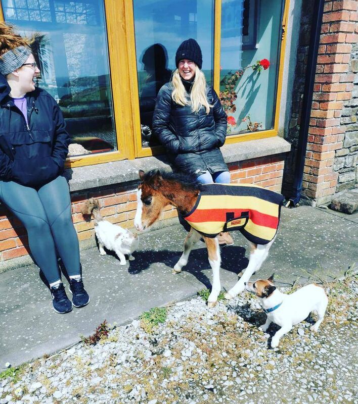 Sheena O'Neill and Áine Tierney (right) with Paddy the foal. Sheena O'Neill and Áine Tierney (right) with Paddy the foal.