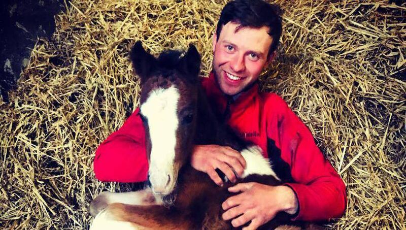 Paddy the foal with jockey Jordan Canavan. Paddy the foal with jockey Jordan Canavan.